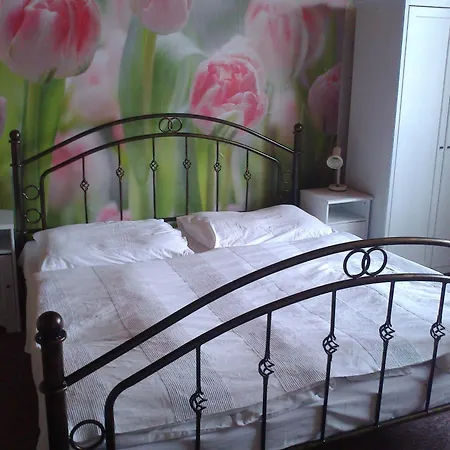 Guest house Lucie 3*
