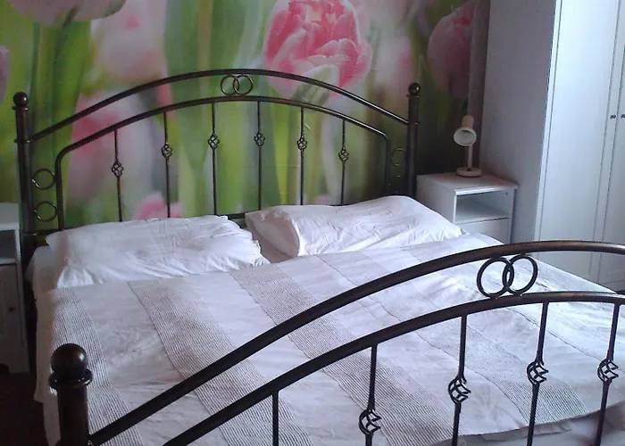 Guest house Lucie 3*